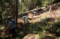 /album/workcamp-leto-2010/turisticka-cesta-jpg/